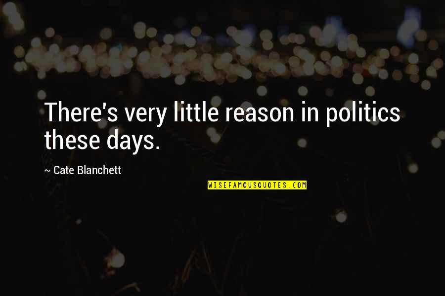 Funny Bruise Quotes By Cate Blanchett: There's very little reason in politics these days.