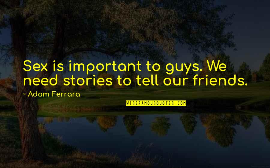 Funny But Important Quotes By Adam Ferrara: Sex is important to guys. We need stories