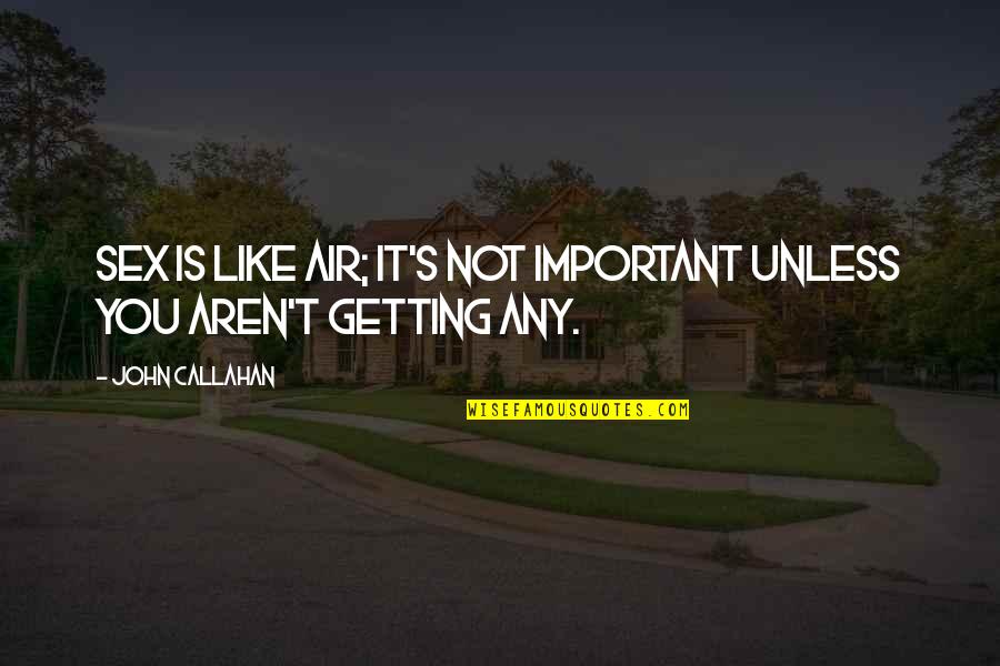 Funny But Important Quotes By John Callahan: Sex is like air; it's not important unless
