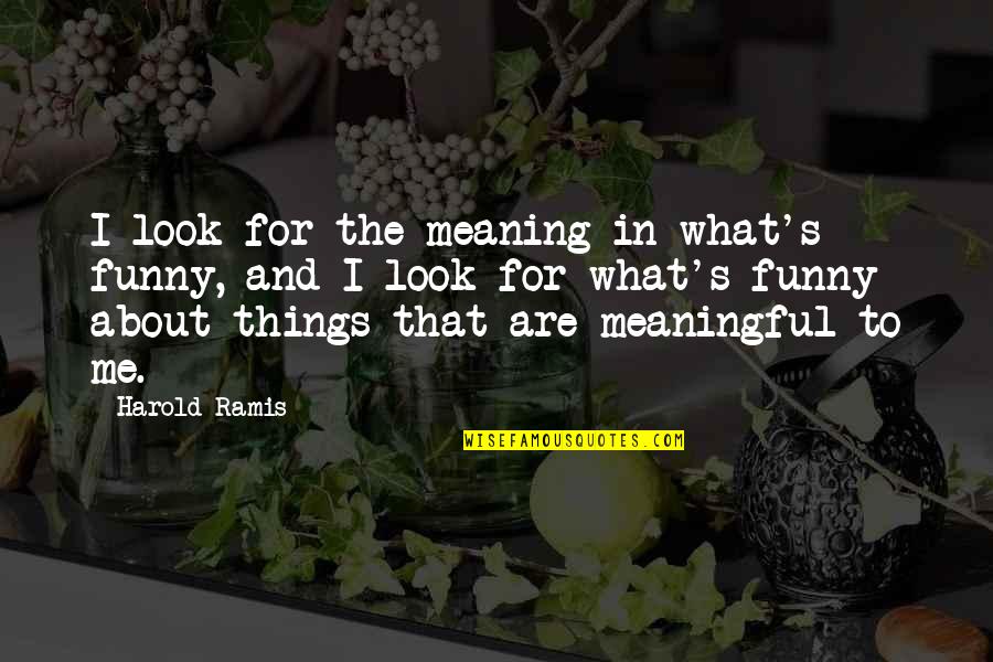 Funny But Meaningful Quotes By Harold Ramis: I look for the meaning in what's funny,