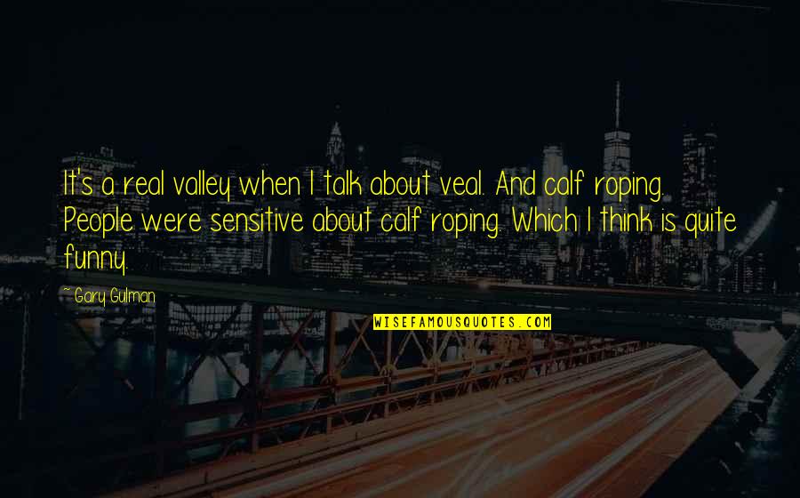 Funny But Real Talk Quotes By Gary Gulman: It's a real valley when I talk about