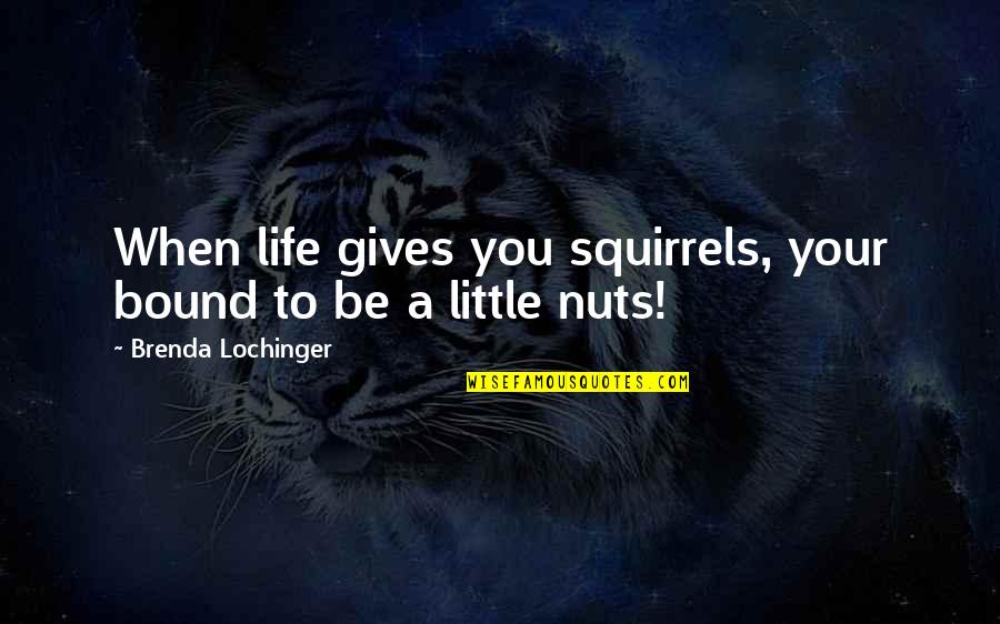 Funny Castlevania Quotes By Brenda Lochinger: When life gives you squirrels, your bound to Funny Castlevania Quotes By Brenda Lochinger: When life gives you squirrels, your bound to