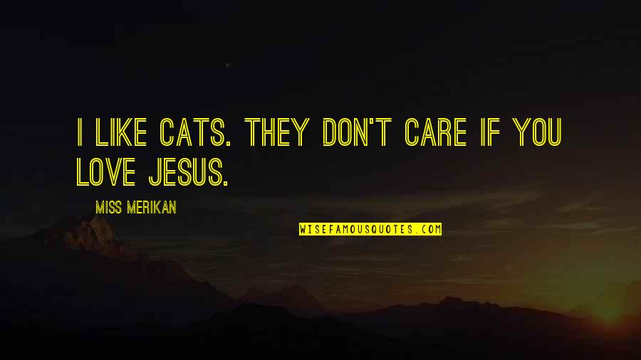 Funny Cats Quotes Quotes By Miss Merikan: I like cats. They don't care if you