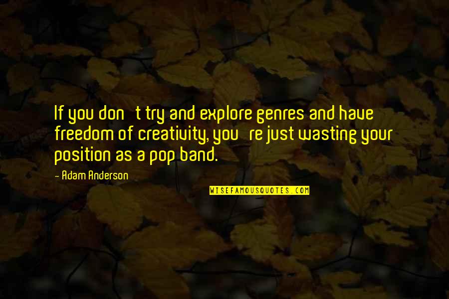 Funny Celibacy Quotes By Adam Anderson: If you don't try and explore genres and