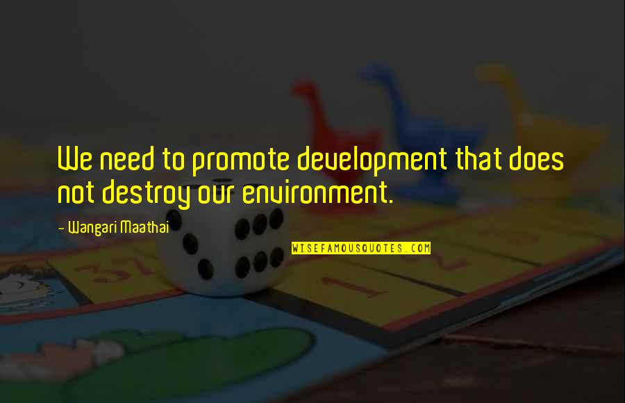Funny Chamorro Quotes By Wangari Maathai: We need to promote development that does not Funny Chamorro Quotes By Wangari Maathai: We need to promote development that does not