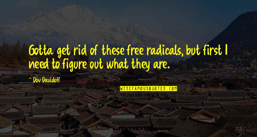 Funny Charles Ingalls Quotes By Dov Davidoff: Gotta get rid of these free radicals, but