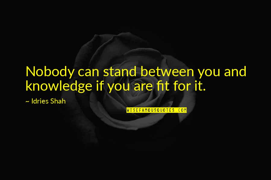 Funny Chat Noir Quotes By Idries Shah: Nobody can stand between you and knowledge if