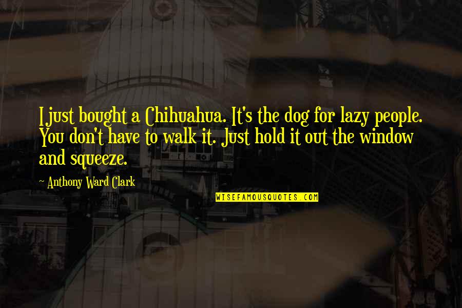 Funny Chihuahua Quotes By Anthony Ward Clark: I just bought a Chihuahua. It's the dog