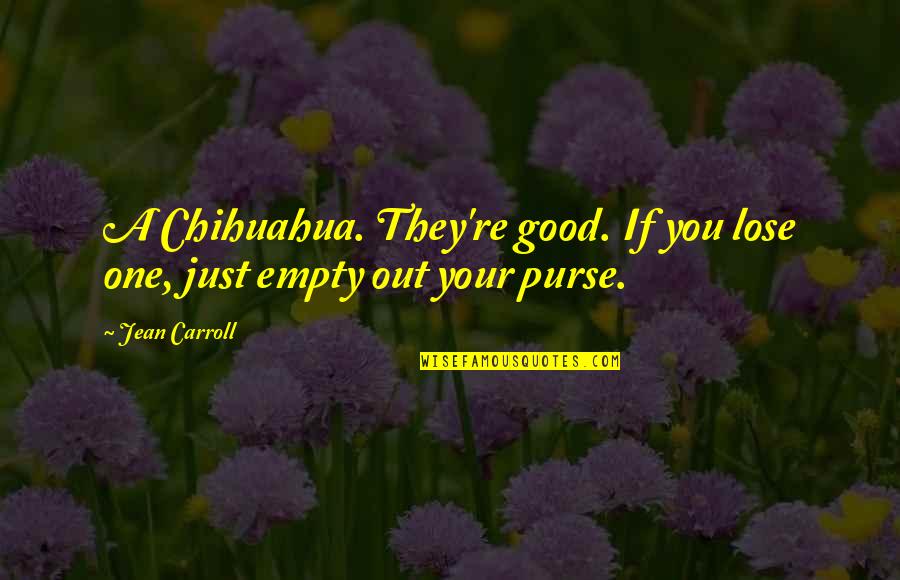 Funny Chihuahua Quotes By Jean Carroll: A Chihuahua. They're good. If you lose one,