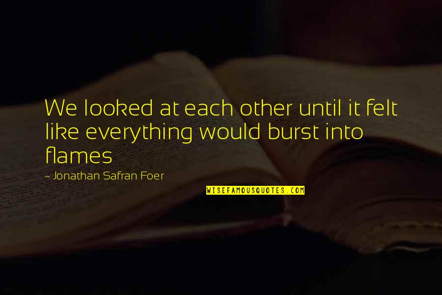 Funny Chips Quotes By Jonathan Safran Foer: We looked at each other until it felt Funny Chips Quotes By Jonathan Safran Foer: We looked at each other until it felt