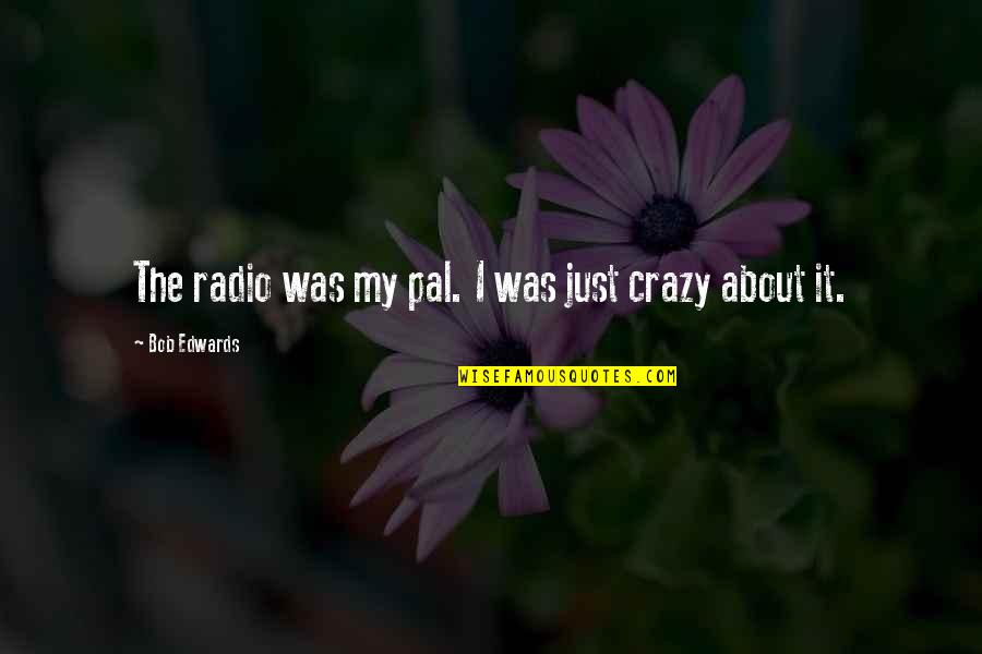 Funny Chug Quotes By Bob Edwards: The radio was my pal. I was just