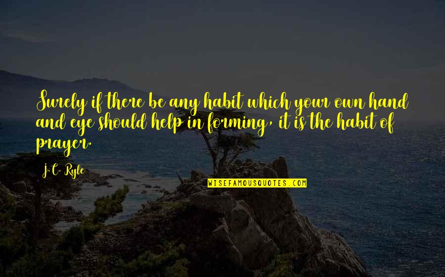 Funny Classroom Quotes By J.C. Ryle: Surely if there be any habit which your