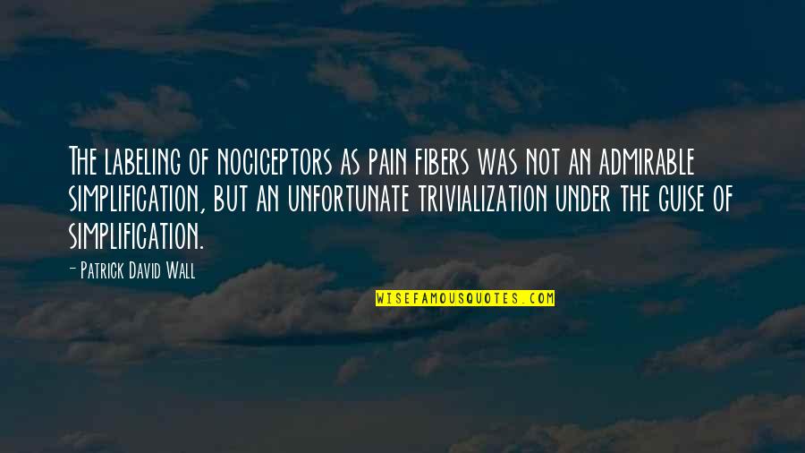 Funny Classroom Quotes By Patrick David Wall: The labeling of nociceptors as pain fibers was