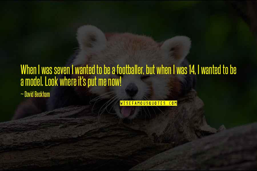 Funny Climbing Mountain Quotes By David Beckham: When I was seven I wanted to be Funny Climbing Mountain Quotes By David Beckham: When I was seven I wanted to be
