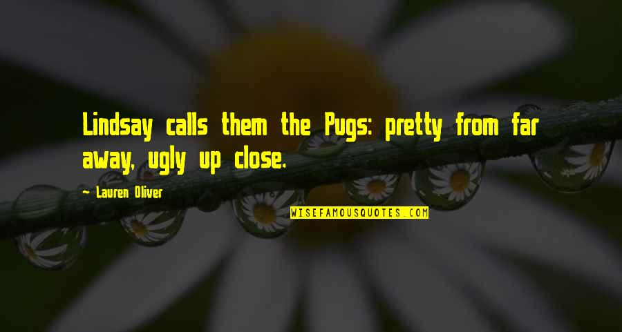 Funny Close Up Quotes By Lauren Oliver: Lindsay calls them the Pugs: pretty from far