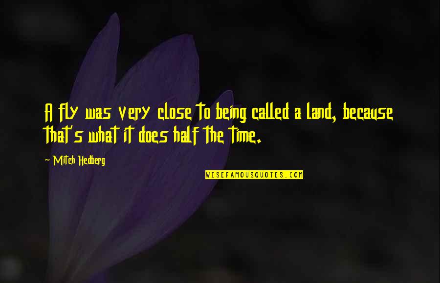 Funny Close Up Quotes By Mitch Hedberg: A fly was very close to being called