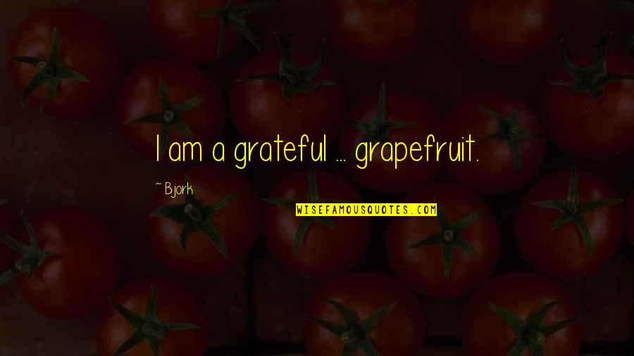 Funny Clothing Quotes By Bjork: I am a grateful ... grapefruit.