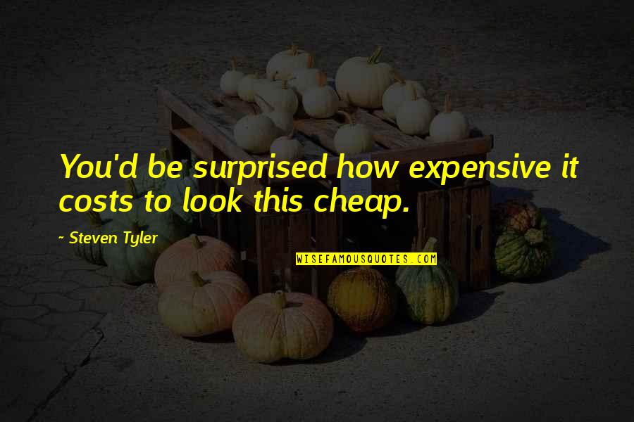 Funny Clothing Quotes By Steven Tyler: You'd be surprised how expensive it costs to