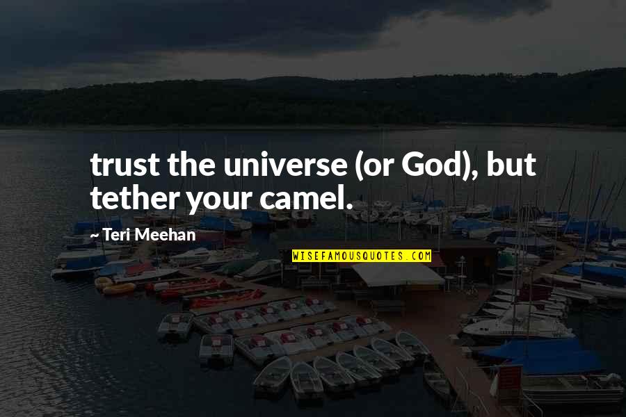 Funny Cluelessness Quotes By Teri Meehan: trust the universe (or God), but tether your