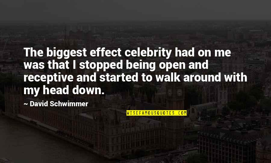 Funny College Alumni Quotes By David Schwimmer: The biggest effect celebrity had on me was Funny College Alumni Quotes By David Schwimmer: The biggest effect celebrity had on me was