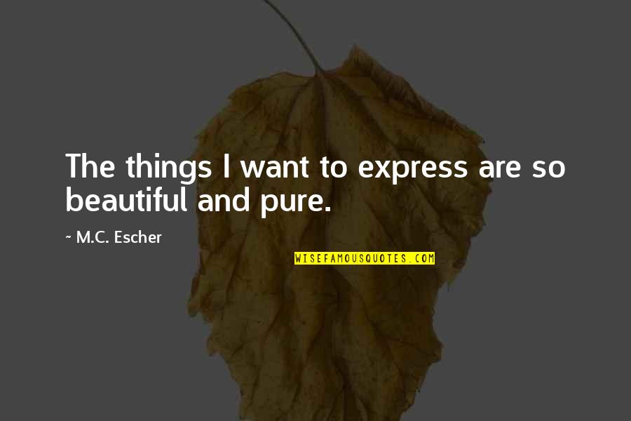 Funny College Dorm Quotes By M.C. Escher: The things I want to express are so Funny College Dorm Quotes By M.C. Escher: The things I want to express are so