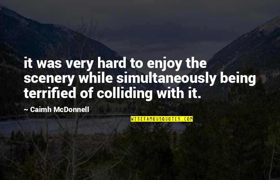 Funny College Motivational Quotes By Caimh McDonnell: it was very hard to enjoy the scenery