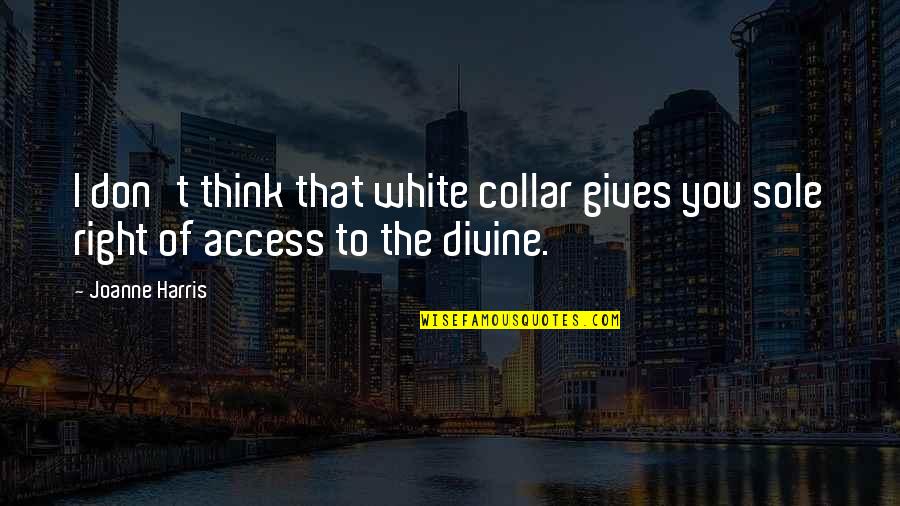 Funny Computer Coding Quotes By Joanne Harris: I don't think that white collar gives you