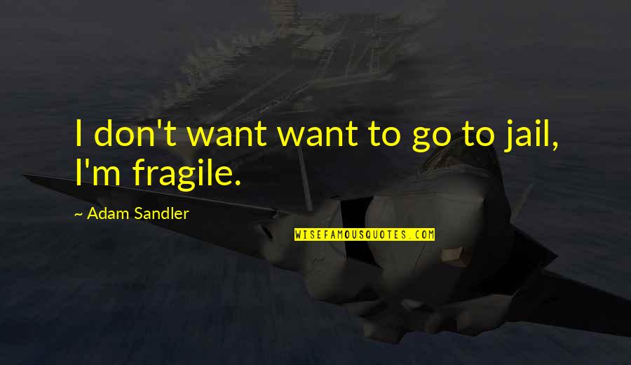 Funny Cop Quotes By Adam Sandler: I don't want want to go to jail,