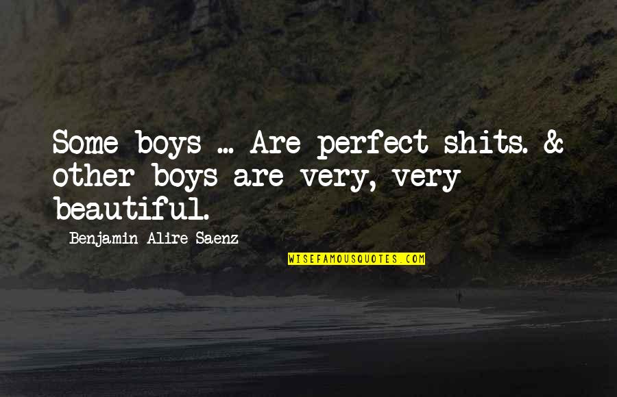 Funny Cotton Quotes By Benjamin Alire Saenz: Some boys ... Are perfect shits. & other