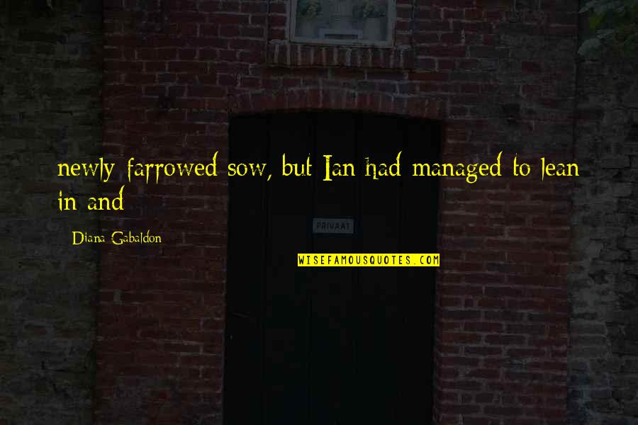 Funny Culchie Quotes By Diana Gabaldon: newly-farrowed sow, but Ian had managed to lean