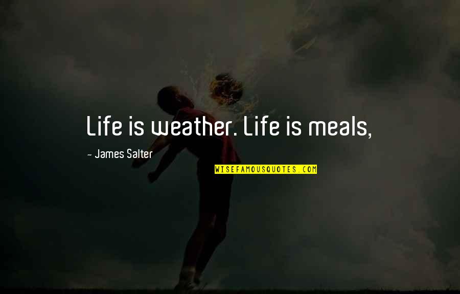Funny Cuppa Quotes By James Salter: Life is weather. Life is meals,