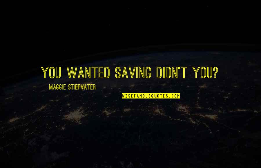 Funny Custody Quotes By Maggie Stiefvater: you wanted saving didn't you?