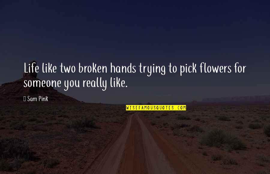 Funny Customer Quotes By Sam Pink: Life like two broken hands trying to pick