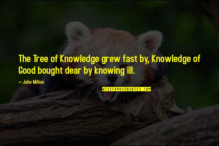 Funny Dart Board Quotes By John Milton: The Tree of Knowledge grew fast by, Knowledge