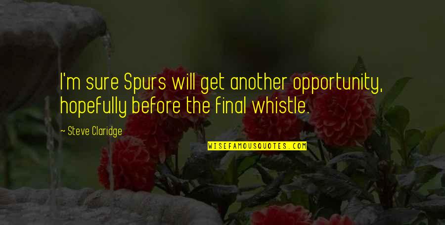 Funny Day Before Thanksgiving Quotes By Steve Claridge: I'm sure Spurs will get another opportunity, hopefully