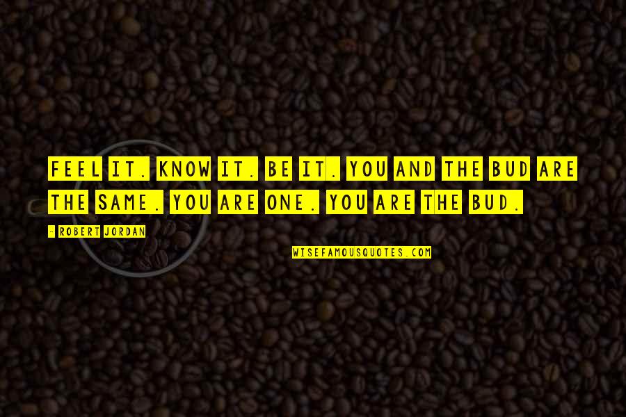 Funny Dear Diary Quotes By Robert Jordan: Feel it. Know it. Be it. You and Funny Dear Diary Quotes By Robert Jordan: Feel it. Know it. Be it. You and