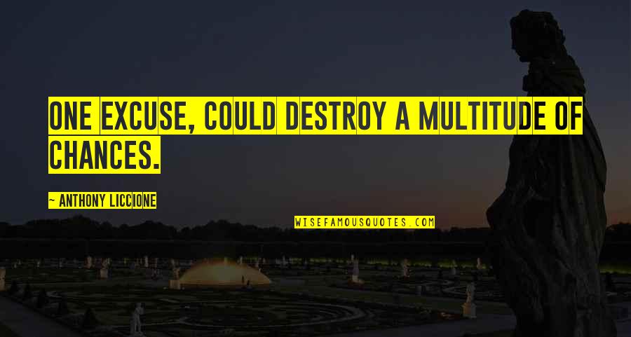 Funny Dear Sincerely Quotes By Anthony Liccione: One excuse, could destroy a multitude of chances. Funny Dear Sincerely Quotes By Anthony Liccione: One excuse, could destroy a multitude of chances.