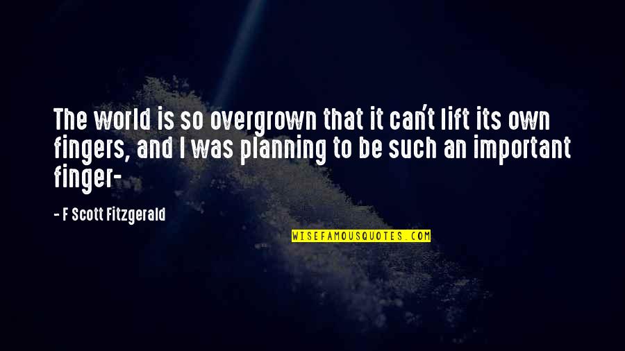 Funny Deluded Quotes By F Scott Fitzgerald: The world is so overgrown that it can't
