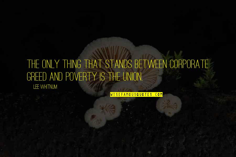 Funny Demeaning Quotes By Lee Whitnum: The only thing that stands between corporate greed