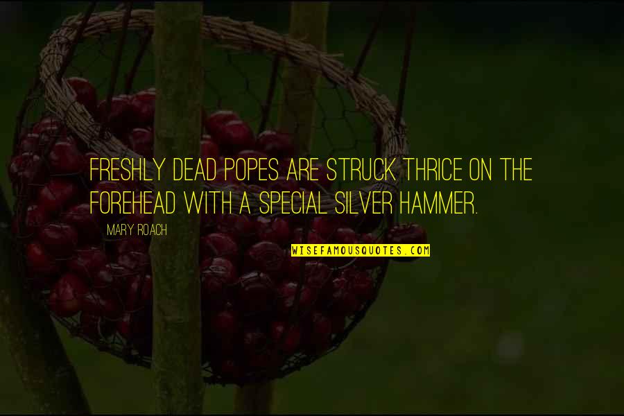 Funny Dinner Invite Quotes By Mary Roach: freshly dead popes are struck thrice on the