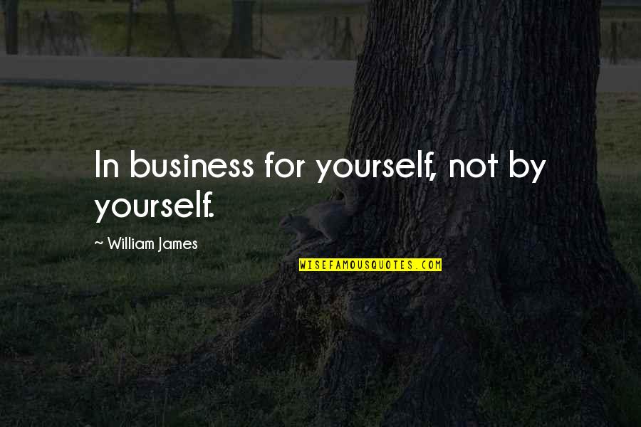 Funny Dirt Nasty Quotes By William James: In business for yourself, not by yourself.