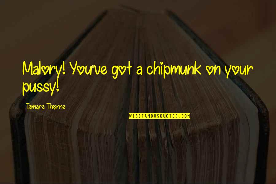 Funny Dirty Quotes By Tamara Thorne: Malory! You've got a chipmunk on your pussy! Funny Dirty Quotes By Tamara Thorne: Malory! You've got a chipmunk on your pussy!