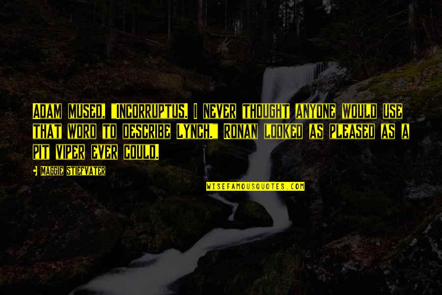 Funny Disc Jockey Quotes By Maggie Stiefvater: Adam mused, "Incorruptus. I never thought anyone would