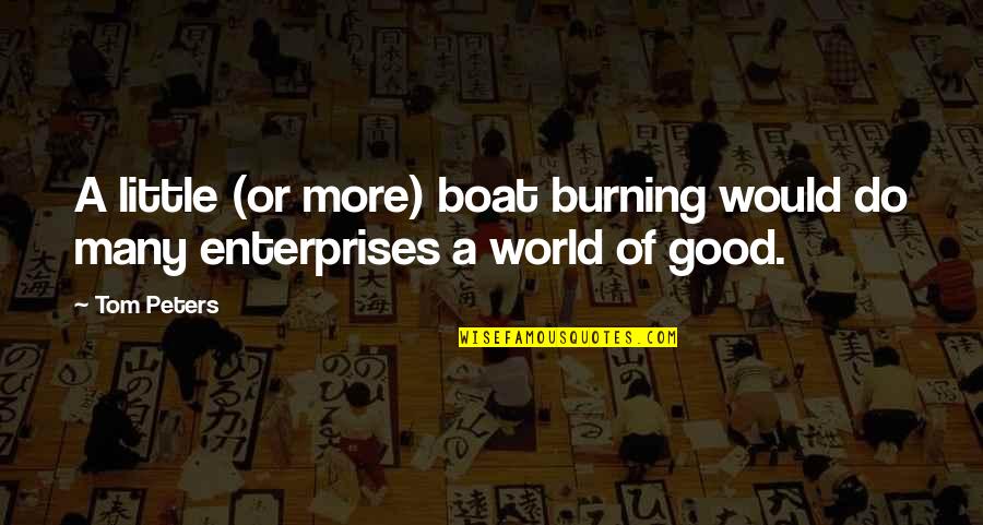 Funny Disclaimer Quotes By Tom Peters: A little (or more) boat burning would do