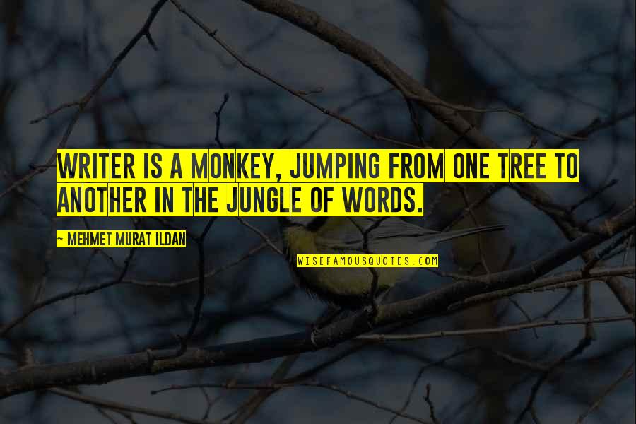 Funny Dog Grooming Quotes By Mehmet Murat Ildan: Writer is a monkey, jumping from one tree