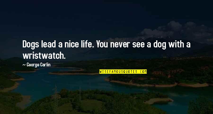 Funny Dog Quotes By George Carlin: Dogs lead a nice life. You never see