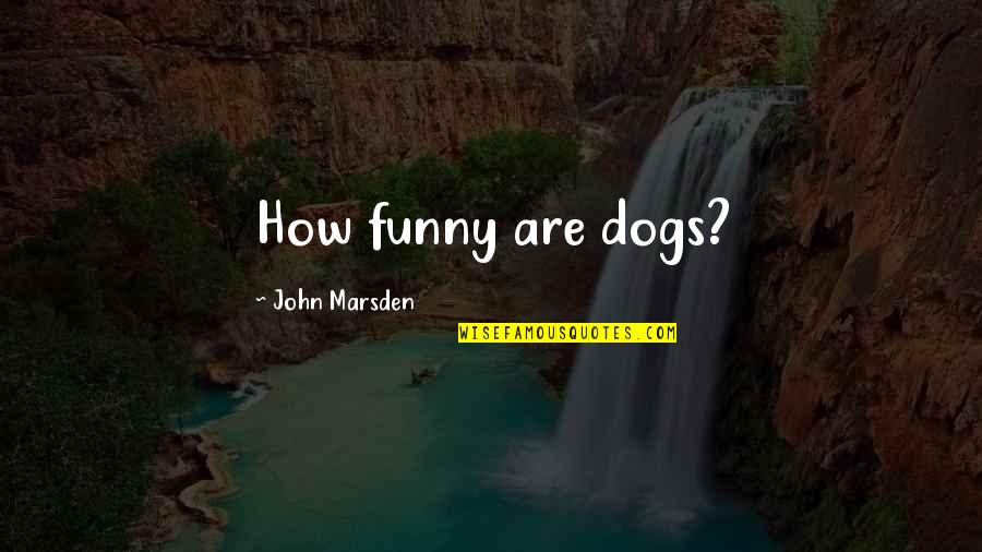 Funny Dogs Quotes By John Marsden: How funny are dogs? Funny Dogs Quotes By John Marsden: How funny are dogs?