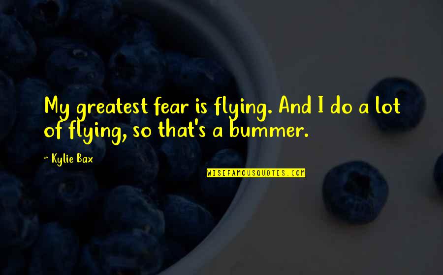 Funny Domestic Violence Quotes By Kylie Bax: My greatest fear is flying. And I do