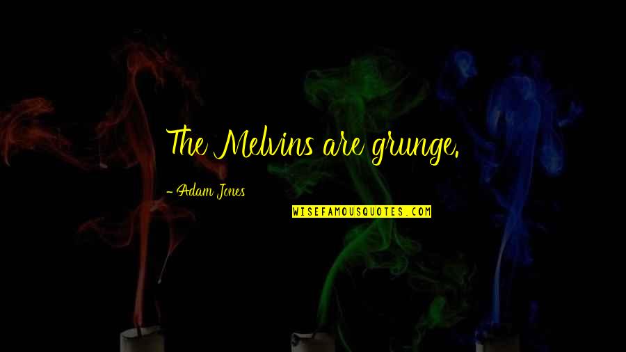 Funny Donations Quotes By Adam Jones: The Melvins are grunge.