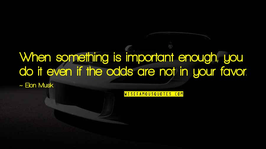 Funny Donegal Quotes By Elon Musk: When something is important enough, you do it